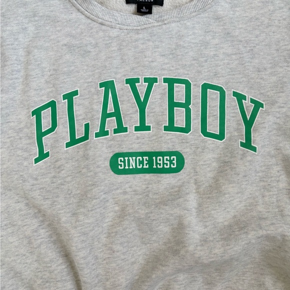 Playboy x PacSun Cropped Gray Sweatshirt w/ Drawstring – Size Large - Picture 3 of 5